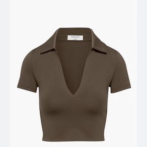 Aritzia Contour Polo Cropped Tee and Rich Mocha Brown (size S)